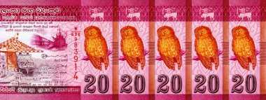 Banknote 20 rupi Sri Lanka 'da resim kolombo portu, tasarım için parça. Sri Lanka 'nın Parası.