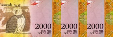 2000 Venezuelalı Bolivars Banknote, Aguila Arpia 'nın görüntüsüyle. Venezuela parası.