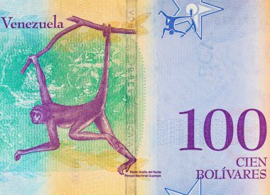 100 Bolivares Venezuela, bir maymun portresi ile. Tasarımcılar için parça. Venezuela 'nın parası.