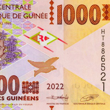 Afrikalı bir kızın portresiyle 1000 gine. Afrika Gine parası. Yakın plan..