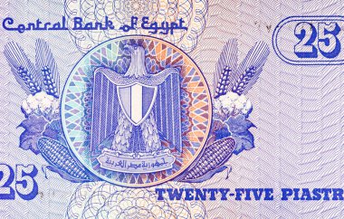 Mısır 25 Piastres 2004 Banknotları Mısır arması resmi ile. Mısır 'ın parası.