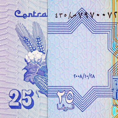 Mısır 25 Piastres 2004 Banknotları Mısır arması resmi ile. Mısır 'ın parası.