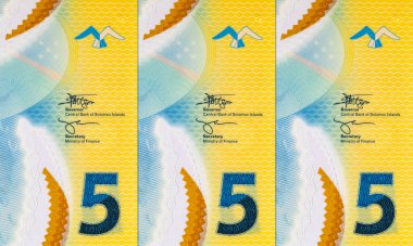 Solomon Adaları 5 Dolar. Polimer banknot parçası 2019 'da çıkarılmış ton balığını gösteriyor. Solomon Adalarının Parası.