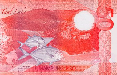50 Piso Filipinler, Yeni Polymer Note 2025 Taal Gölü ve dev trevally balığı resmi. Filipinlerin Parası