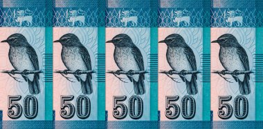 Banknote 50 rupi Sri Lanka Manampitiya Köprüsü resmi, tasarım için parça. Sri Lanka 'nın Parası