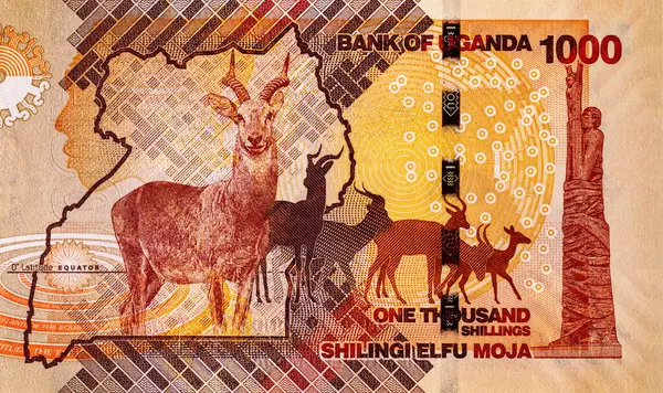 Banknote 1000 şilin Uganda 2022 'de fauna ve geyik resmi. Tasarım için parçalar. Uganda 'nın kağıt parası