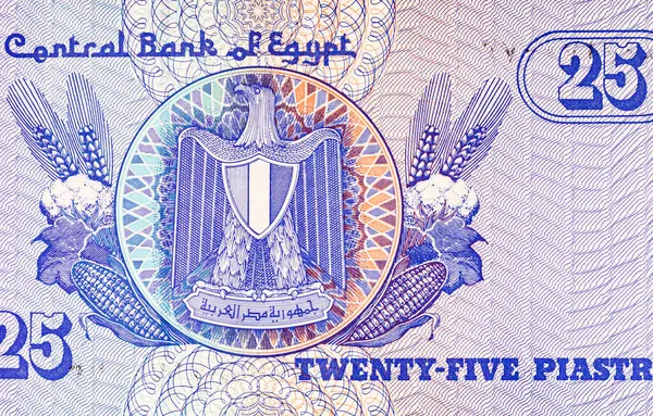 Mısır 25 Piastres 2004 Banknotları Mısır arması resmi ile. Mısır 'ın parası.