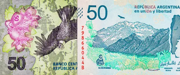 50 peso Arjantin And Akbabası 'nın görüntüsüyle. Arjantin 'in kağıt parası