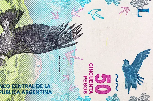 50 peso Arjantin And Akbabası 'nın görüntüsüyle. Arjantin 'in kağıt parası