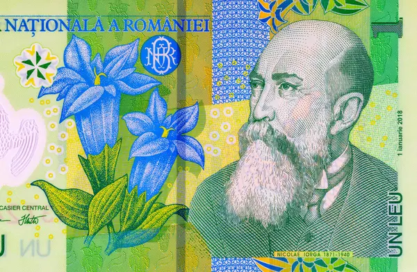 1 Leu Romanya ve Nicolae Orga 'nın portresi. Romanya ve Avrupa Birliği 'nin polimer parası.