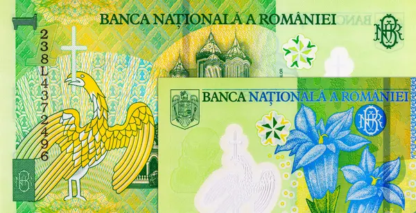 1 Leu Romania 2018, tasarımcılar için bir parça. Romanya ve Avrupa Birliği 'nin polimer parası.