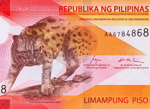 50 Piso Filipinler, Yeni Polymer Note 2025 Visayan Leoparı ile. Filipin Parası
