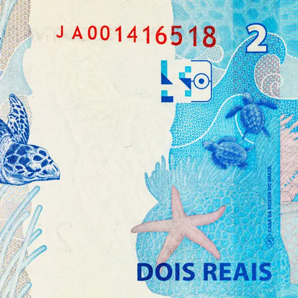 2 Reais, Brezilya kaplumbağa taruga marinha resmi. Tasarımcılar için parça. Brezilya 'nın parası.