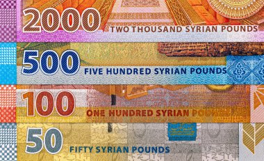 Şam 'daki Hafız el Esad Ulusal Kütüphanesi resmi olan Suriye' ye 50 pound banknot, tasarımcılar için bir parça. Suriye 'nin kağıt parası.