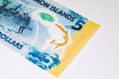Solomon Adaları 5 Dolar. Polimer banknot, sualtında balık tutan bir adam resmi. Solomon Adalarının Parası.