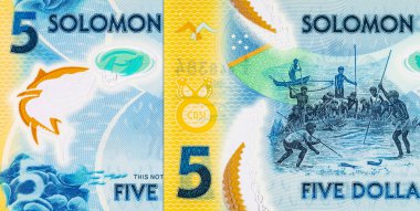 Solomon Adaları 5 Dolar. Polimer banknot parçası 2019 'da çıkarılmış ton balığını gösteriyor. Solomon Adalarının Parası.