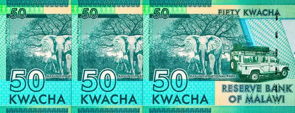 50 kwacha Malawi banknotu, Kasungu Milli Parkı 'nın resmi, tasarım için. Malavi 'nin Parası.