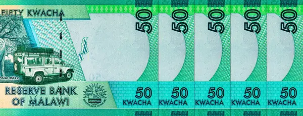 50 kwacha Malawi banknotu, Kasungu Milli Parkı 'nın resmi, tasarım için. Malavi 'nin Parası.