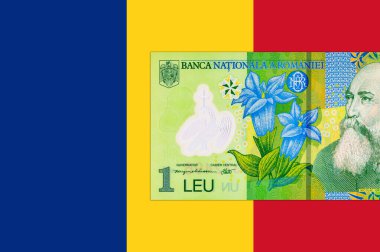1 Leu Romania 2018, tasarımcılar için bir parça. Romanya ve Avrupa Birliği 'nin polimer parası.