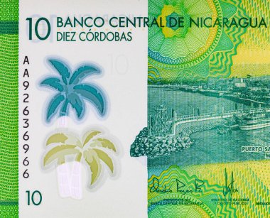 10 Cordobas Nikaragua, tasarım için bir banknotun parçası. Nikaragua 'nın polimer parası