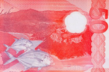 50 Piso Filipinler, Yeni Polymer Note 2025 Taal Gölü ve dev trevally balığı resmi. Filipinlerin Parası