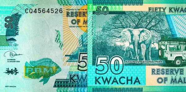 Malawi 50 kwacha banknot, tasarım için parça. Malavi parası..