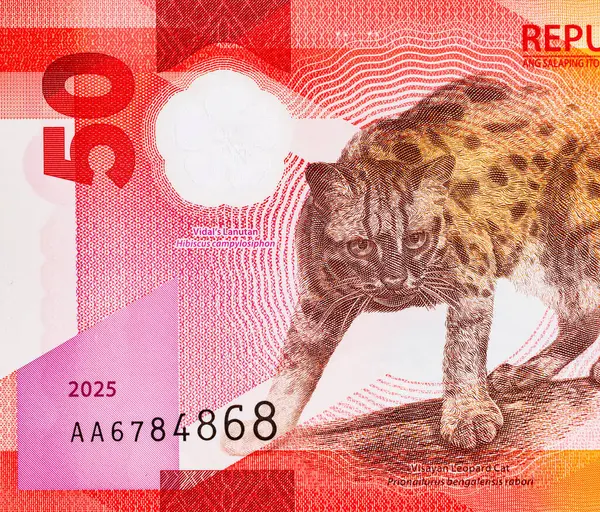 50 Piso Filipinler, Yeni Polymer Note 2025 Visayan Leoparı ile. Filipin Parası