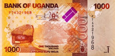 Banknote 1000 şilin Uganda 2022 baskı. Tasarım için parçalar. Uganda 'nın kağıt parası