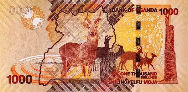 Banknote 1000 şilin Uganda 2022 'de fauna ve geyik resmi. Tasarım için parçalar. Uganda 'nın kağıt parası