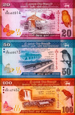 Banknote 20 rupi Sri Lanka 'da resim kolombo portu, tasarım için parça. Sri Lanka 'nın Parası.