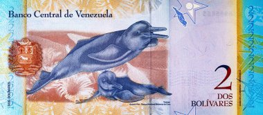 Venezuela 2 Bolivar banknotu ve tonina resmi. Venezuela parası. Venezuela 2 Bolivar banknotu ve tonina resmi. Venezuela parası.