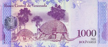 1000 Bolivares Venezuela, tasarımcılar için bir parça. Venezuela 'nın parası.