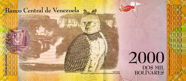 2000 Venezuelalı Bolivars Banknote, Aguila Arpia 'nın görüntüsüyle. Venezuela parası.