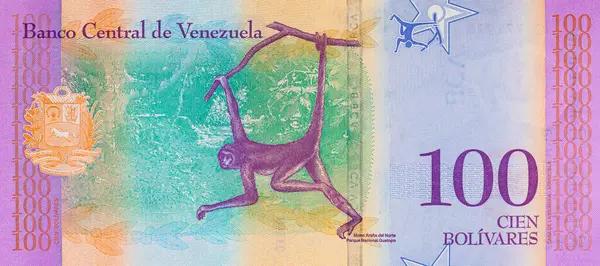 100 Bolivares Venezuela, bir maymun portresi ile. Tasarımcılar için parça. Venezuela 'nın parası.