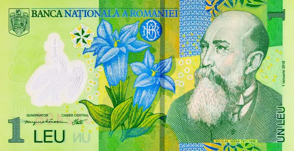 1 Leu Romanya ve Nicolae Orga 'nın portresi. Romanya ve Avrupa Birliği 'nin polimer parası.