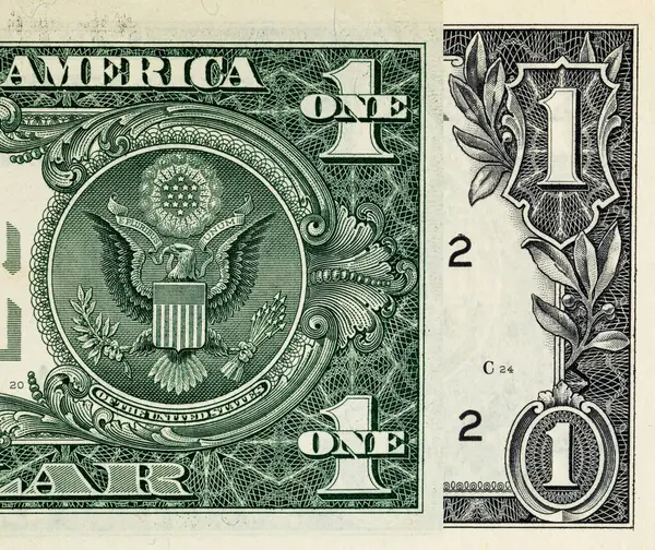 Kağıt banknotların klasik unsurları. Bonistikler. Tasarım amaçlı 1 Amerikan doları banknotunun bir parçası. Amerika Birleşik Devletleri