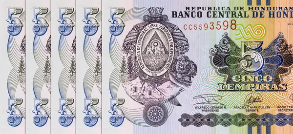 Honduras 'lı Banknote 5 Lempiras. Tasarımcılar için parça. Honduras 'ın kağıt parası..