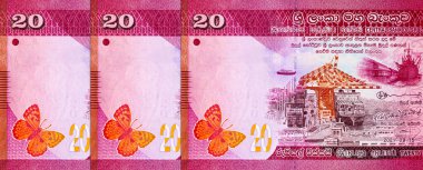 Banknote 20 rupi Sri Lanka 'da resim kolombo portu, tasarım için parça. Sri Lanka 'nın Parası.