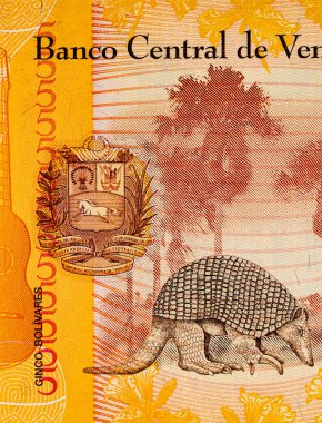 5 Venezuela Bolivares banknotu. Bolivares fuertes, Brezilya 'nın ulusal para birimi.