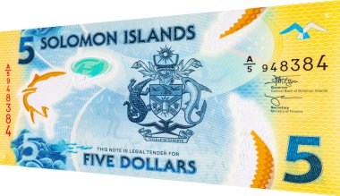 Solomon Adaları 5 Dolar. Polimer banknot parçası 2019 'da çıkarılmış ton balığını gösteriyor. Solomon Adalarının Parası.