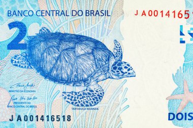 2 Reais, Brezilya kaplumbağa taruga marinha resmi. Tasarımcılar için parça. Brezilya 'nın parası.