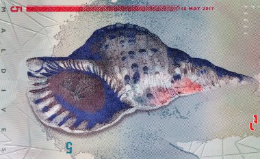 5 rufiye Maldivler 'den Sangu' yu gösteriyor, deniz kabuğu, Triton 'un trompeti. Maldivlerin Polimer Parası.