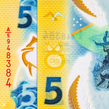 Solomon Adaları 5 Dolar. Polimer banknot parçası 2019 'da çıkarılmış ton balığını gösteriyor. Solomon Adalarının Parası.