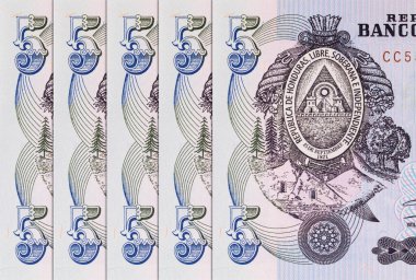 Honduras 'lı Banknote 5 Lempiras. Tasarımcılar için parça. Honduras 'ın kağıt parası..