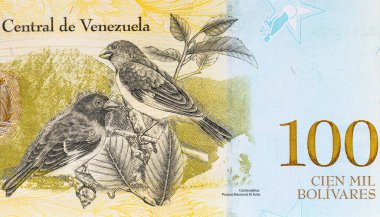 Cardenalitos 'un portresi olan 100 Bolivares of Venezuela - Red Siskin (Carduelis cucullata). Venezuela 'nın parası