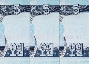 Pyongyang 'daki Mansan Hill' deki Grand Peoples Çalışma Evi 'nin görüntüsüyle 1998' de Kuzey Kore 'ye 5 won yatırıldı. Kuzey Kore 'nin parası.