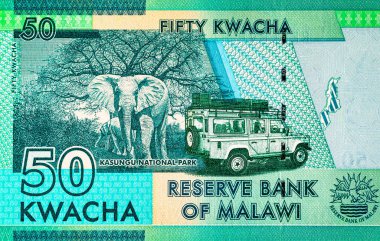 50 kwacha Malawi banknotu, Kasungu Milli Parkı 'nın resmi, tasarım için. Malavi 'nin Parası.