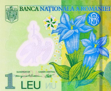 1 Leu Romania 2018, tasarımcılar için bir parça. Romanya ve Avrupa Birliği 'nin polimer parası.