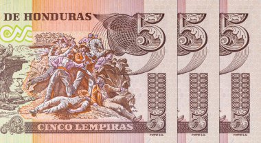 Honduras 'lı Banknote 5 Lempiras. Tasarımcılar için parça. Honduras 'ın kağıt parası..