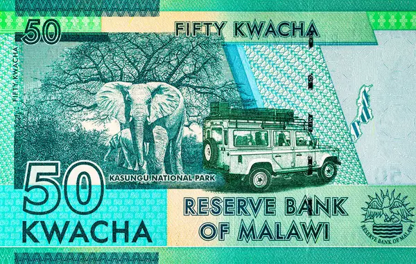 50 kwacha Malawi banknotu, Kasungu Milli Parkı 'nın resmi, tasarım için. Malavi 'nin Parası.
